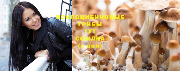 марки nbome Бородино