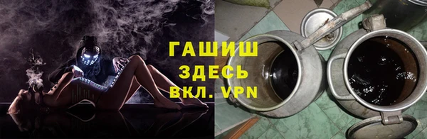 прущие грибы Алагир