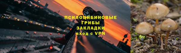 марки nbome Бородино