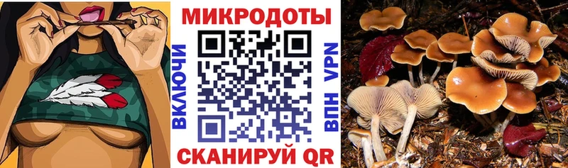Псилоцибиновые грибы прущие грибы OMG сайт Волгореченск как найти закладки